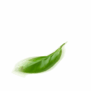 dsvavzxc 1