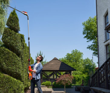 Skilful gardener using high-altitude hedge trimmer while shaping bush in topiary garden. Side view of smiling man cutting top of conifer tree with pro equipment in summer day. Concept of topiary.