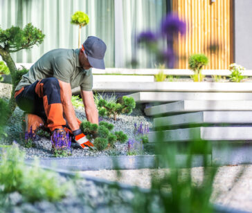 A gardener is carefully working in a contemporary garden, planting flowers and pruning shrubs under bright sunlight, creating a vibrant outdoor space.