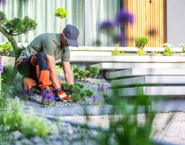 A gardener is carefully working in a contemporary garden, planting flowers and pruning shrubs under bright sunlight, creating a vibrant outdoor space.