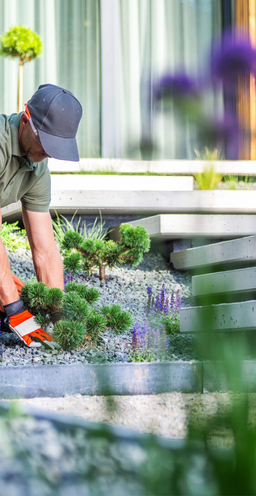 A gardener is carefully working in a contemporary garden, planting flowers and pruning shrubs under bright sunlight, creating a vibrant outdoor space.