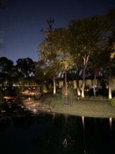IMG_20251006_133053