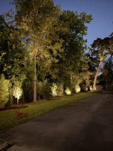 IMG_20251006_133056