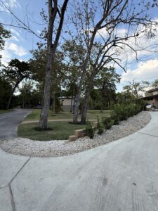 IMG_20251006_133537